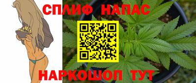 крисы Ирбит