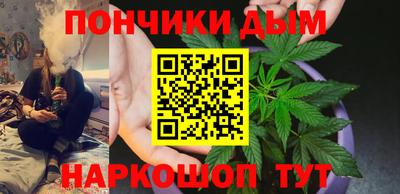 крисы Ирбит