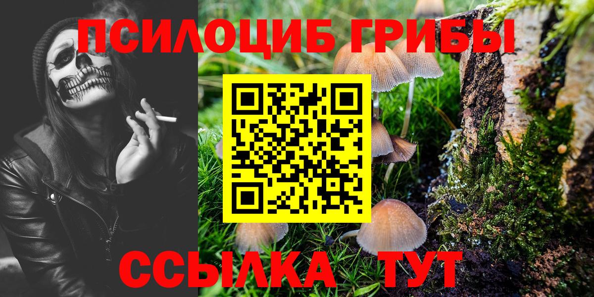 Галлюциногенные грибы ЛСД Изобильный
