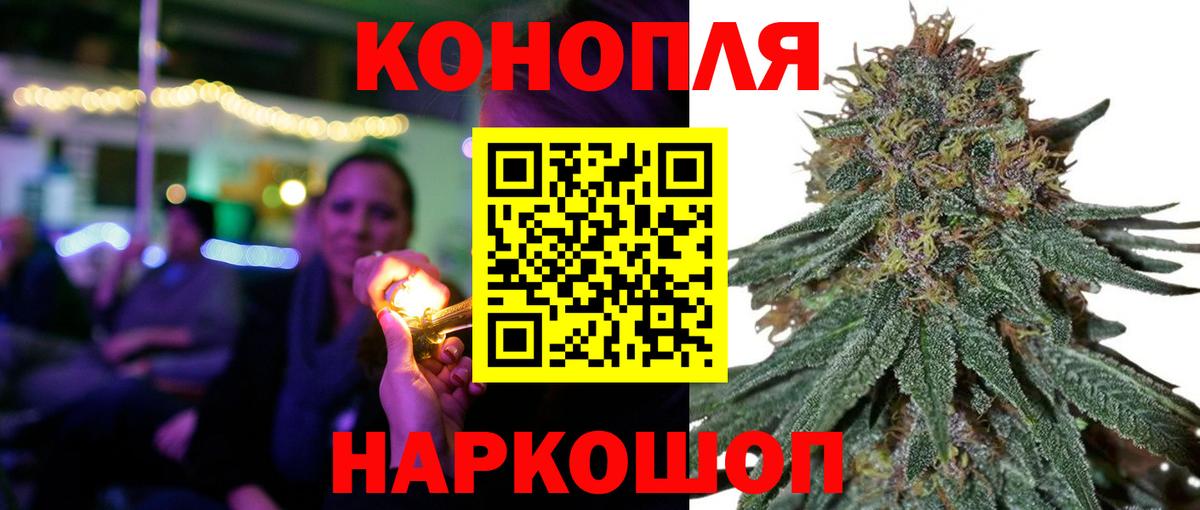 Бошки Шишки гибрид Изобильный